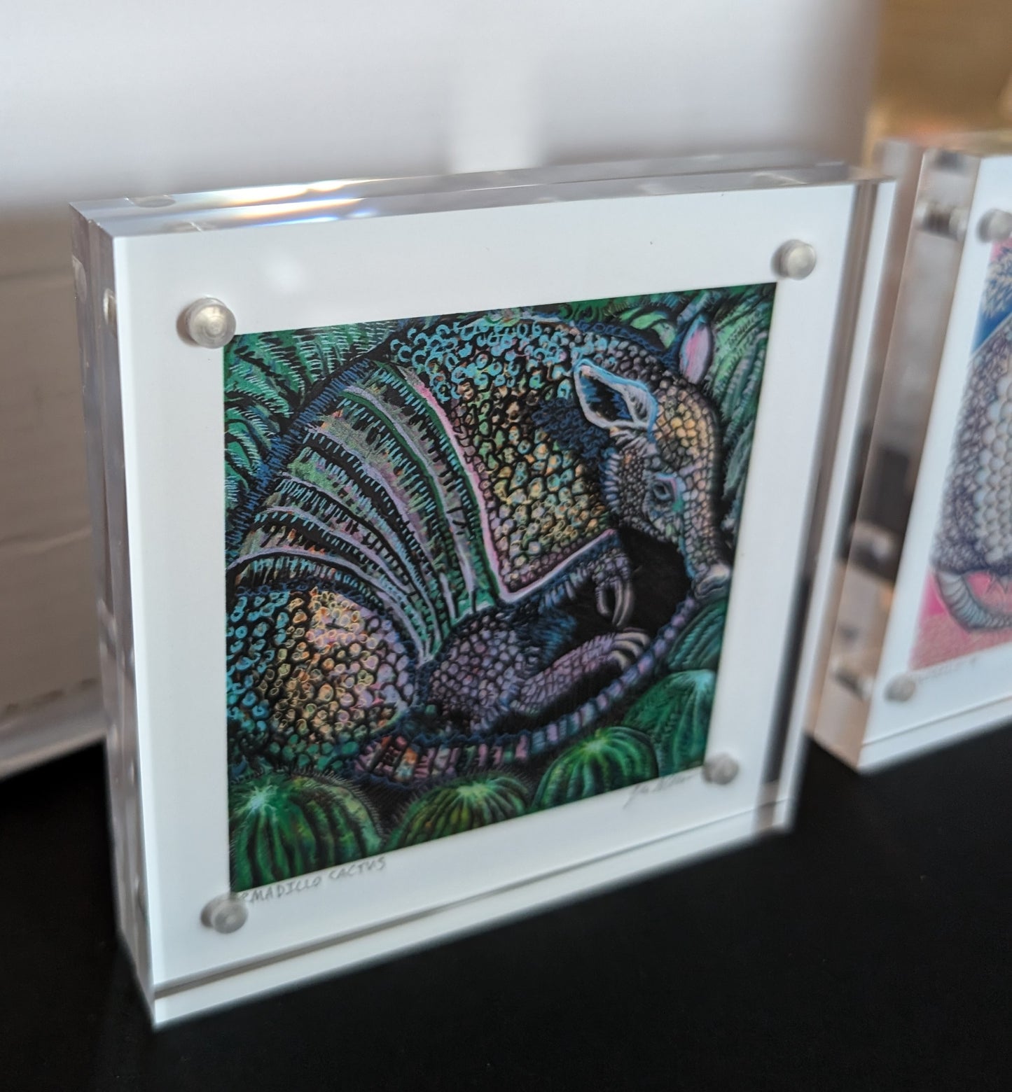 Armadillo Magnetic Frame with Gift Box