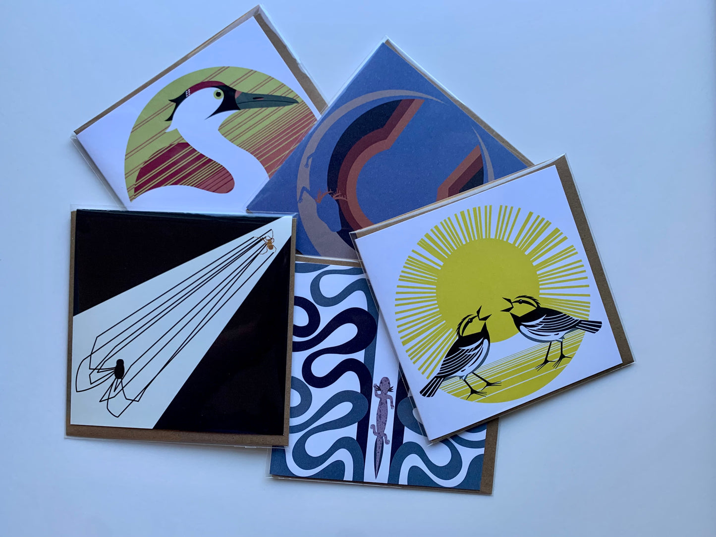 Endangered Species Cards Set