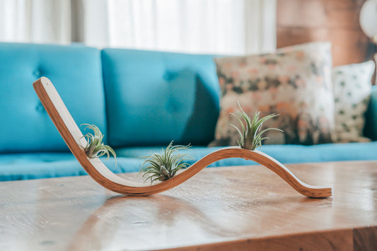 Small Wave Planter