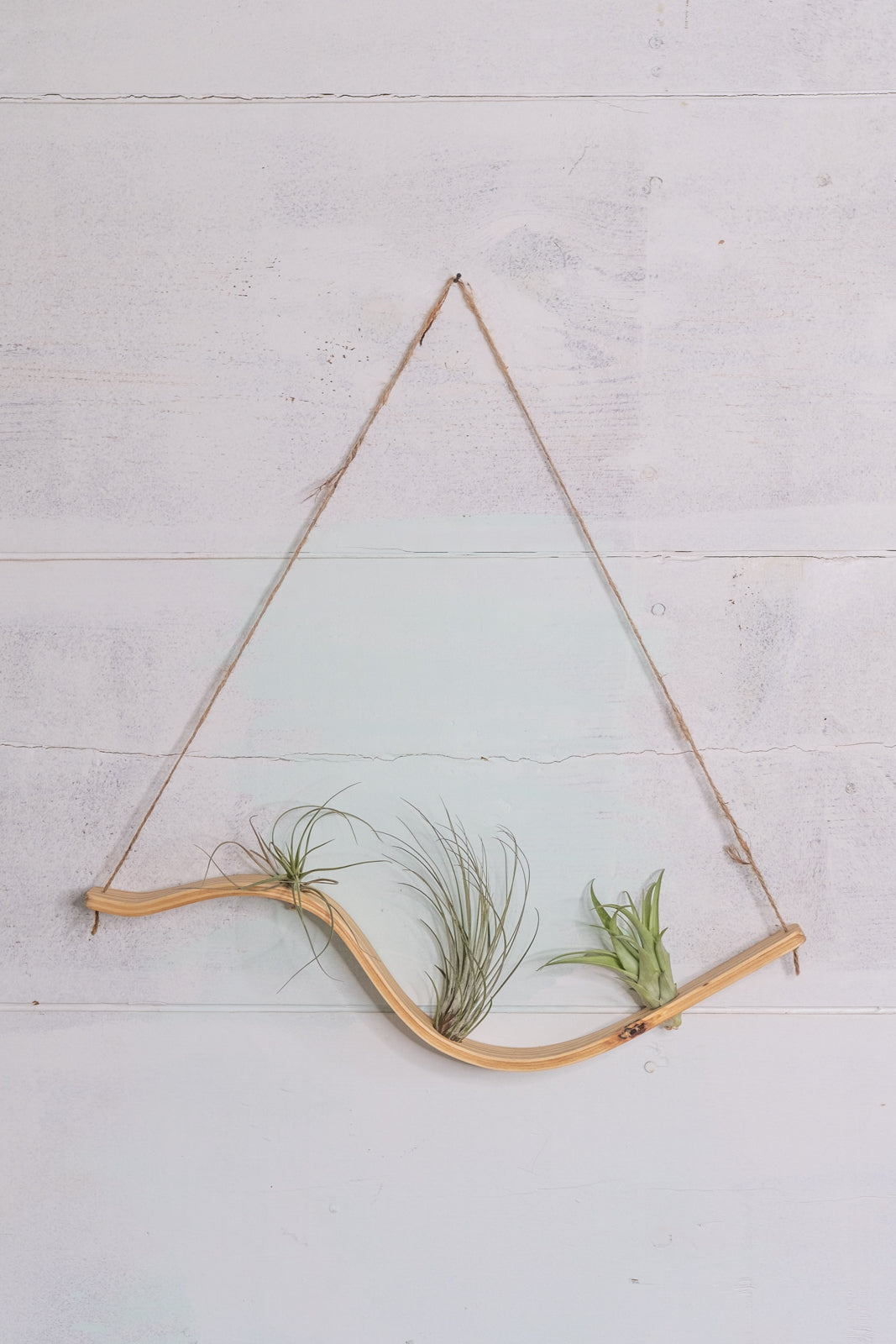Small Wave Planter