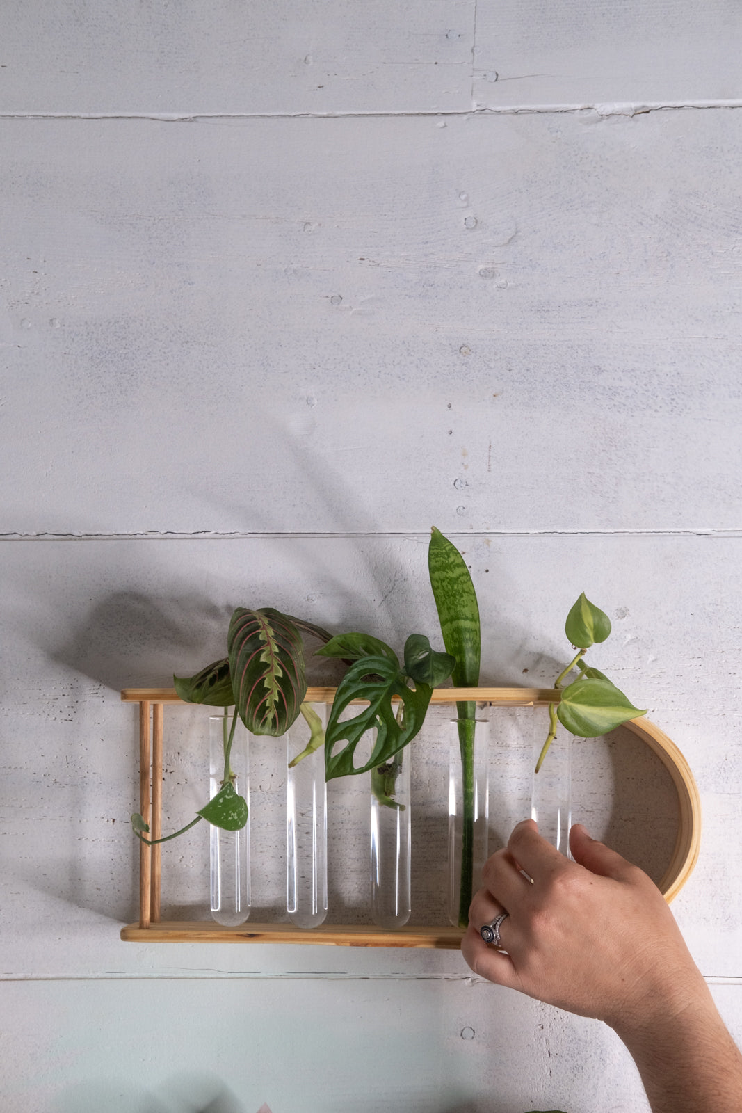 Propagation Station