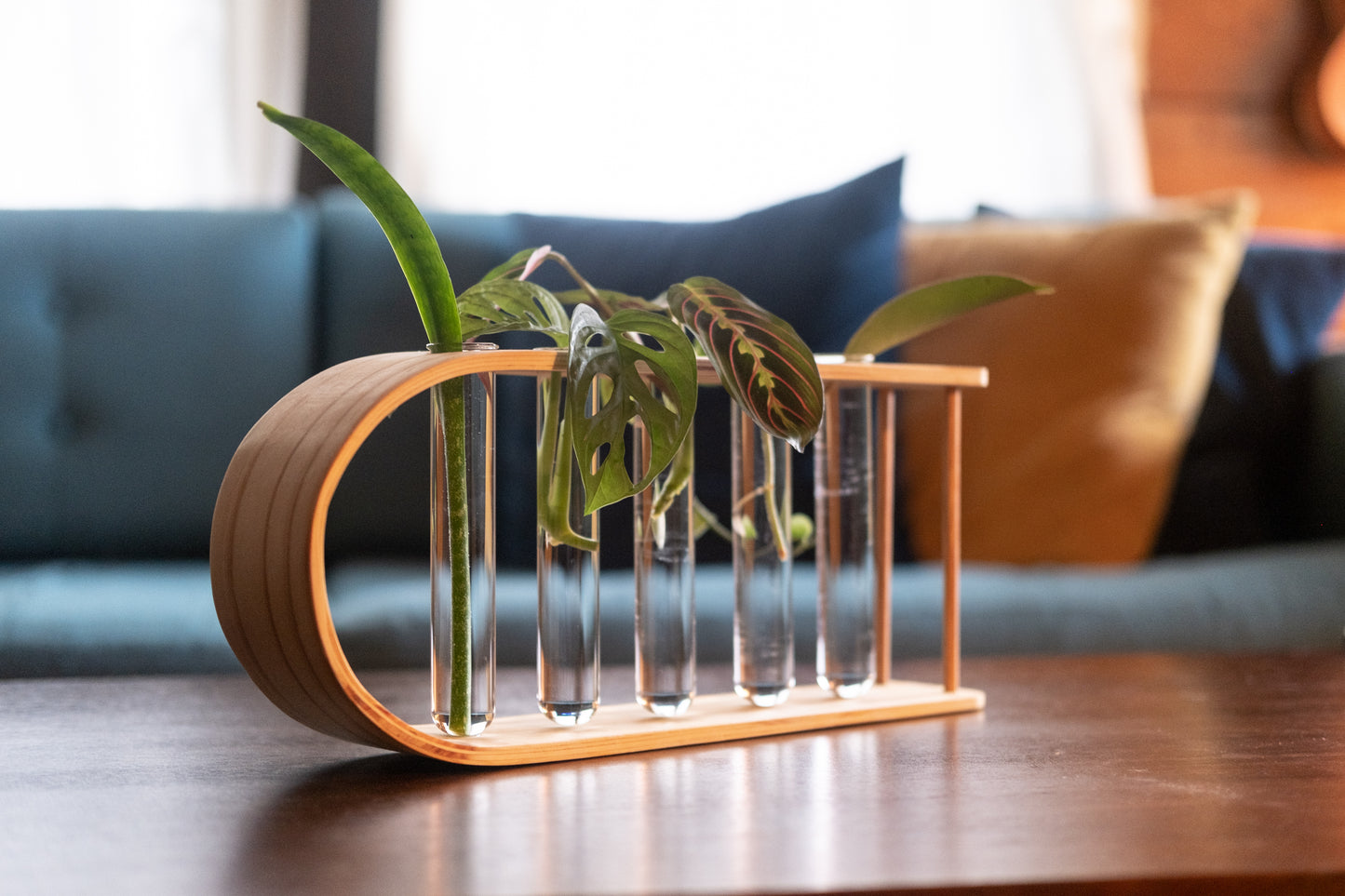 Propagation Station