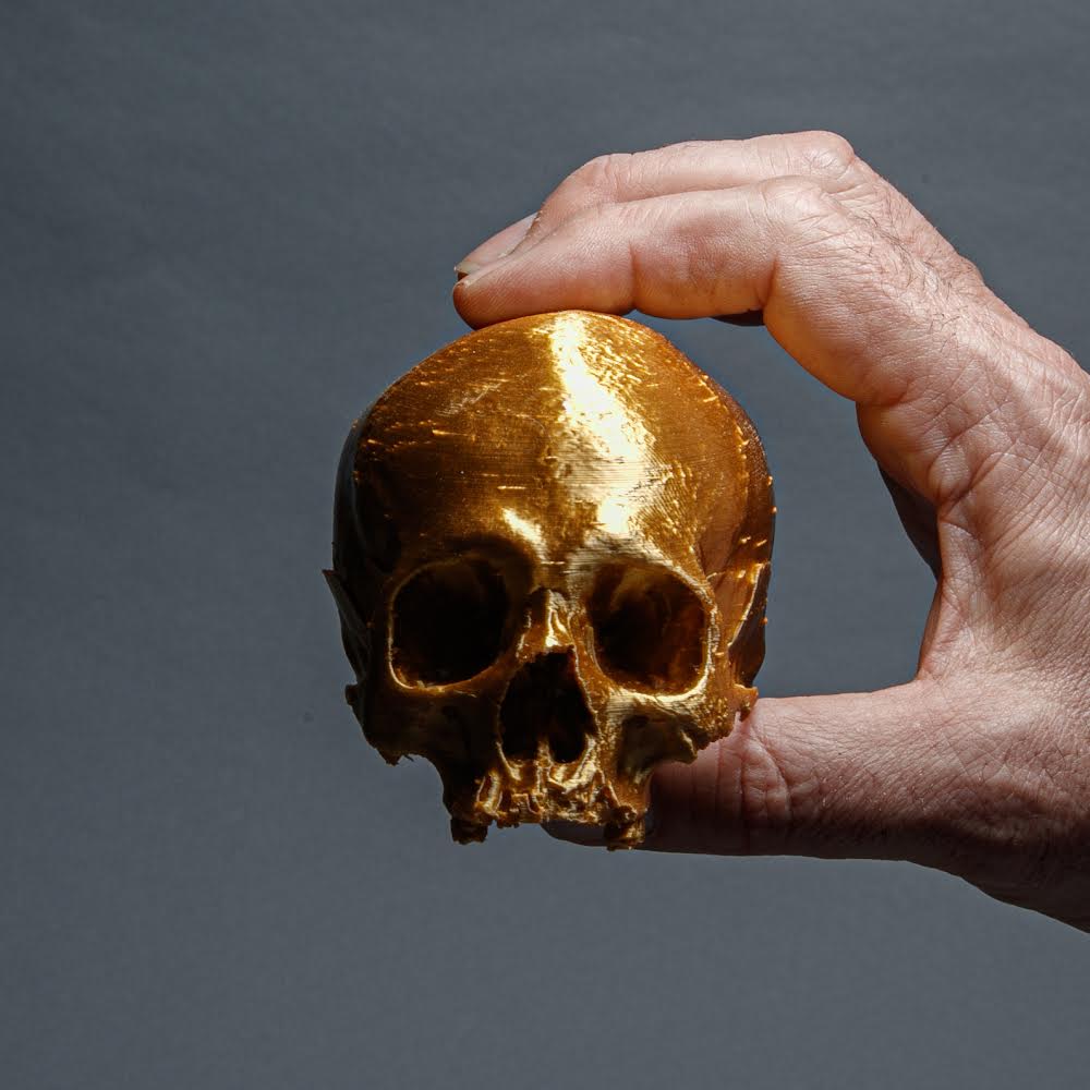 3D Printed Gold Skull
