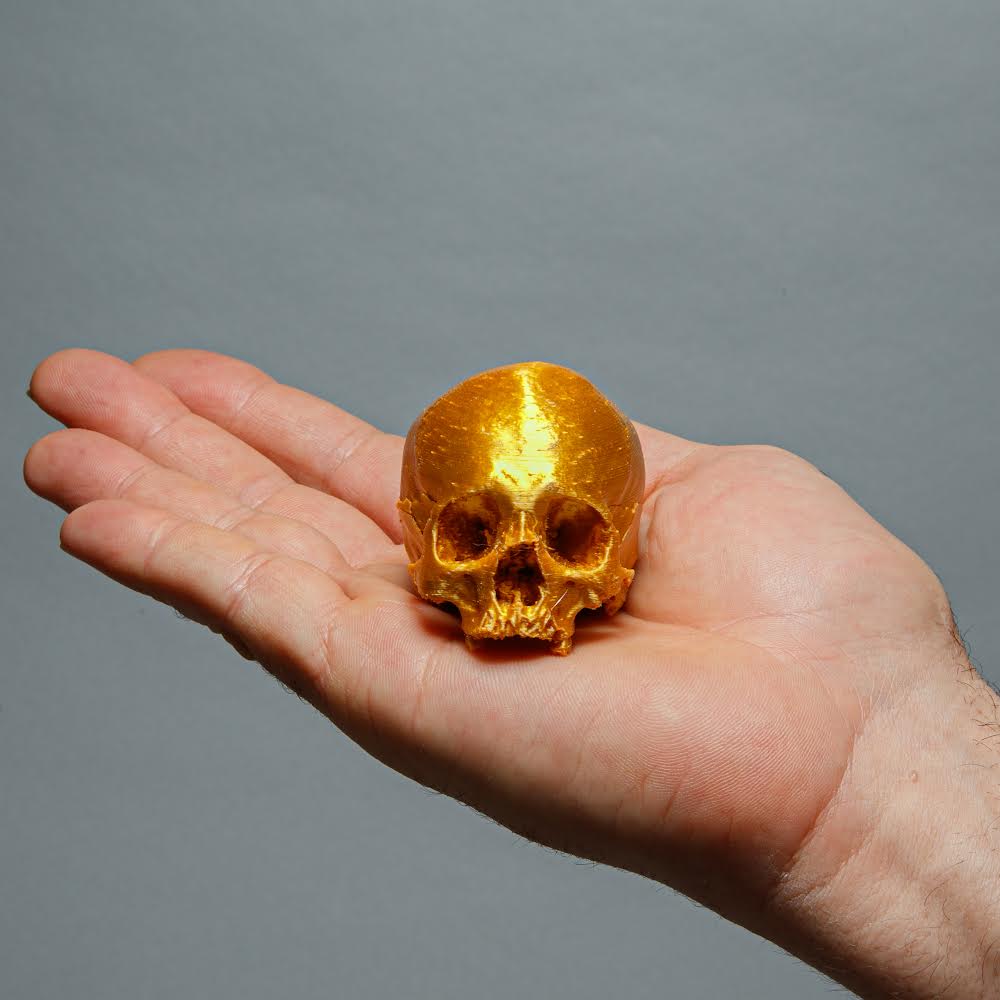 3D Printed Gold Skull