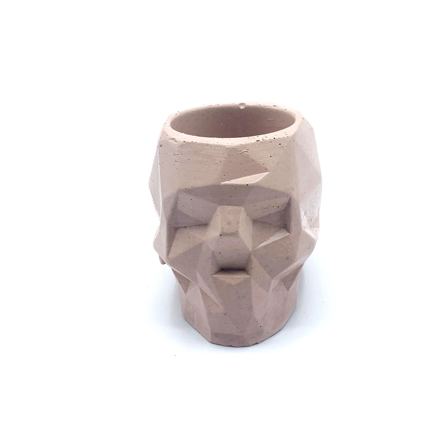 Skull planter