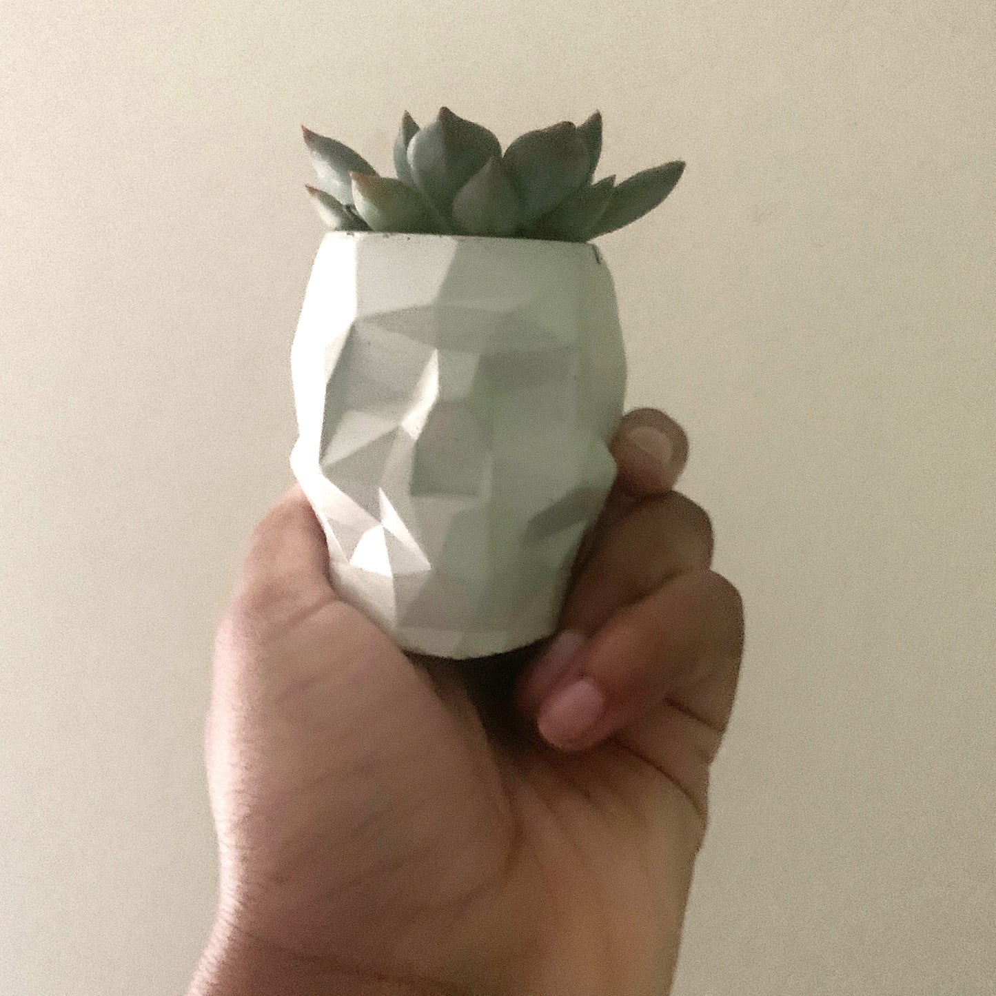 Skull planter