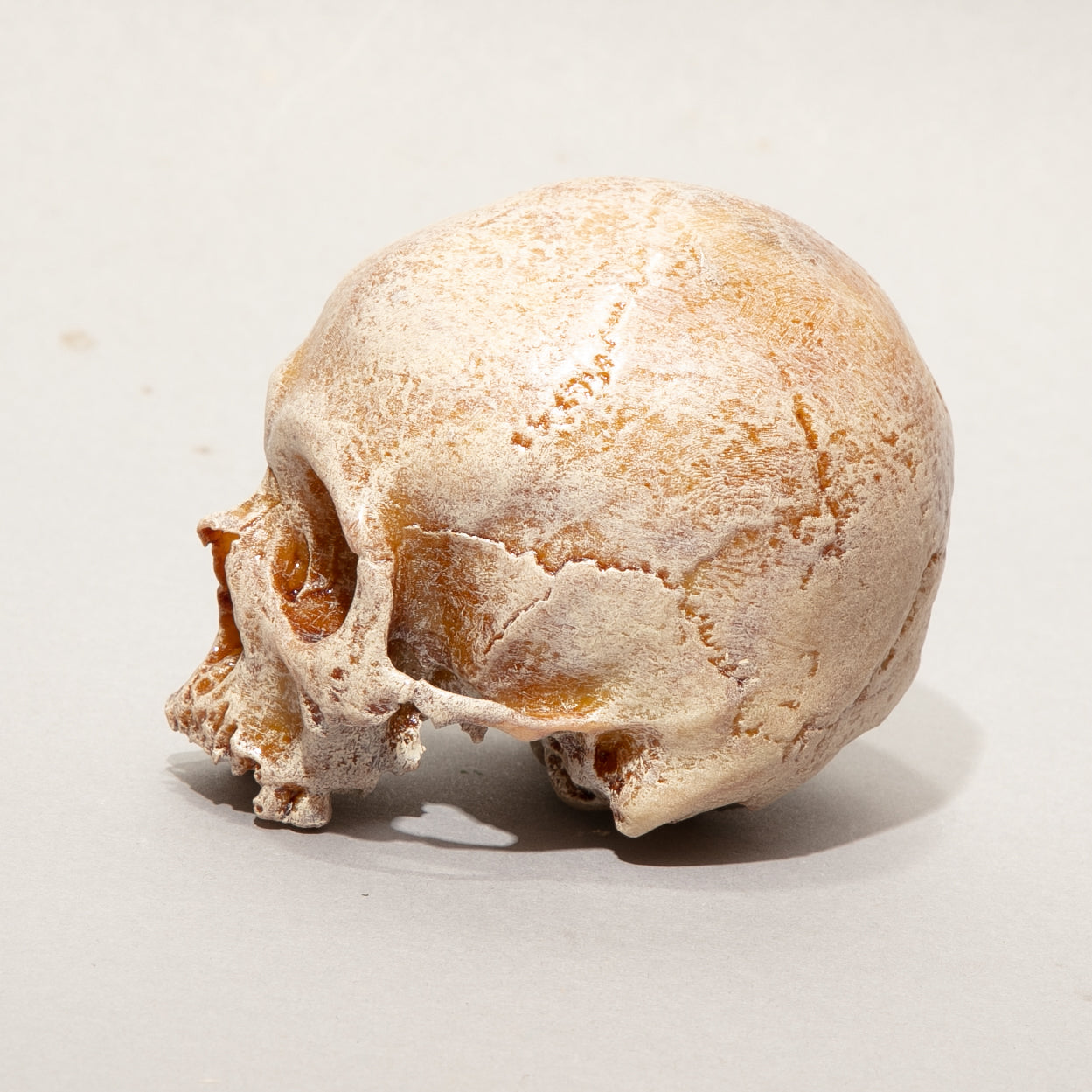 Memento Mori Skull Sculpture