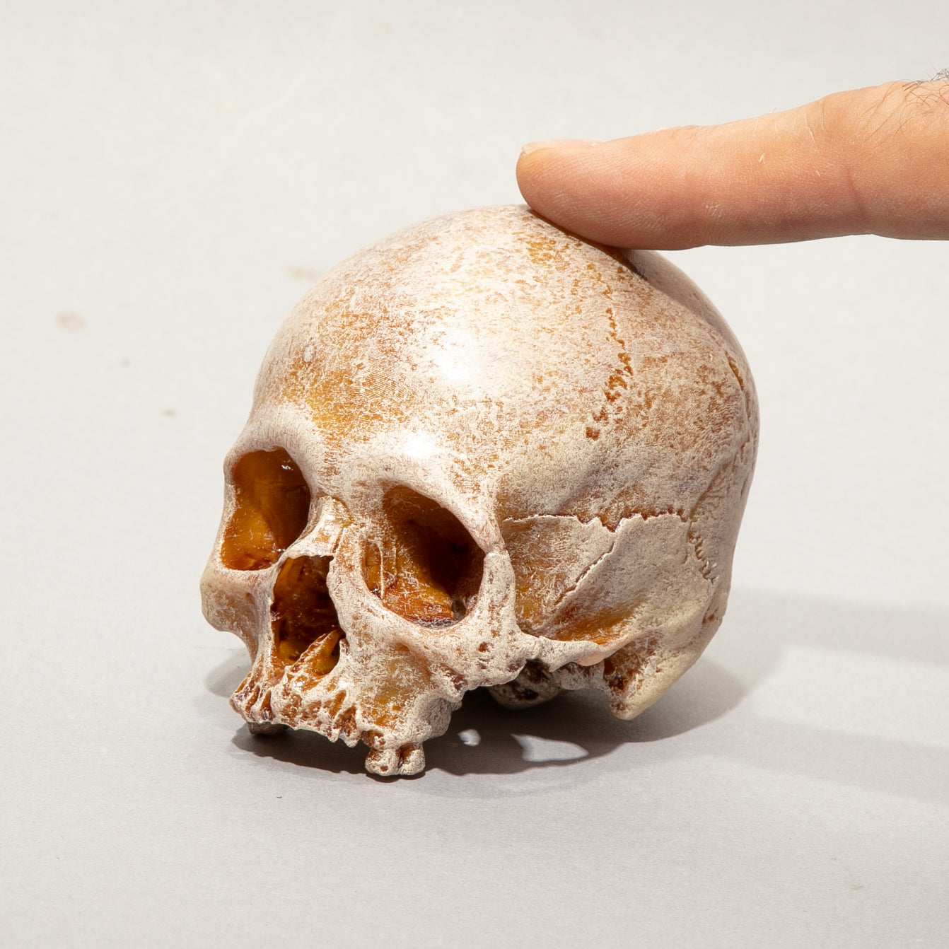 Memento Mori Skull Sculpture