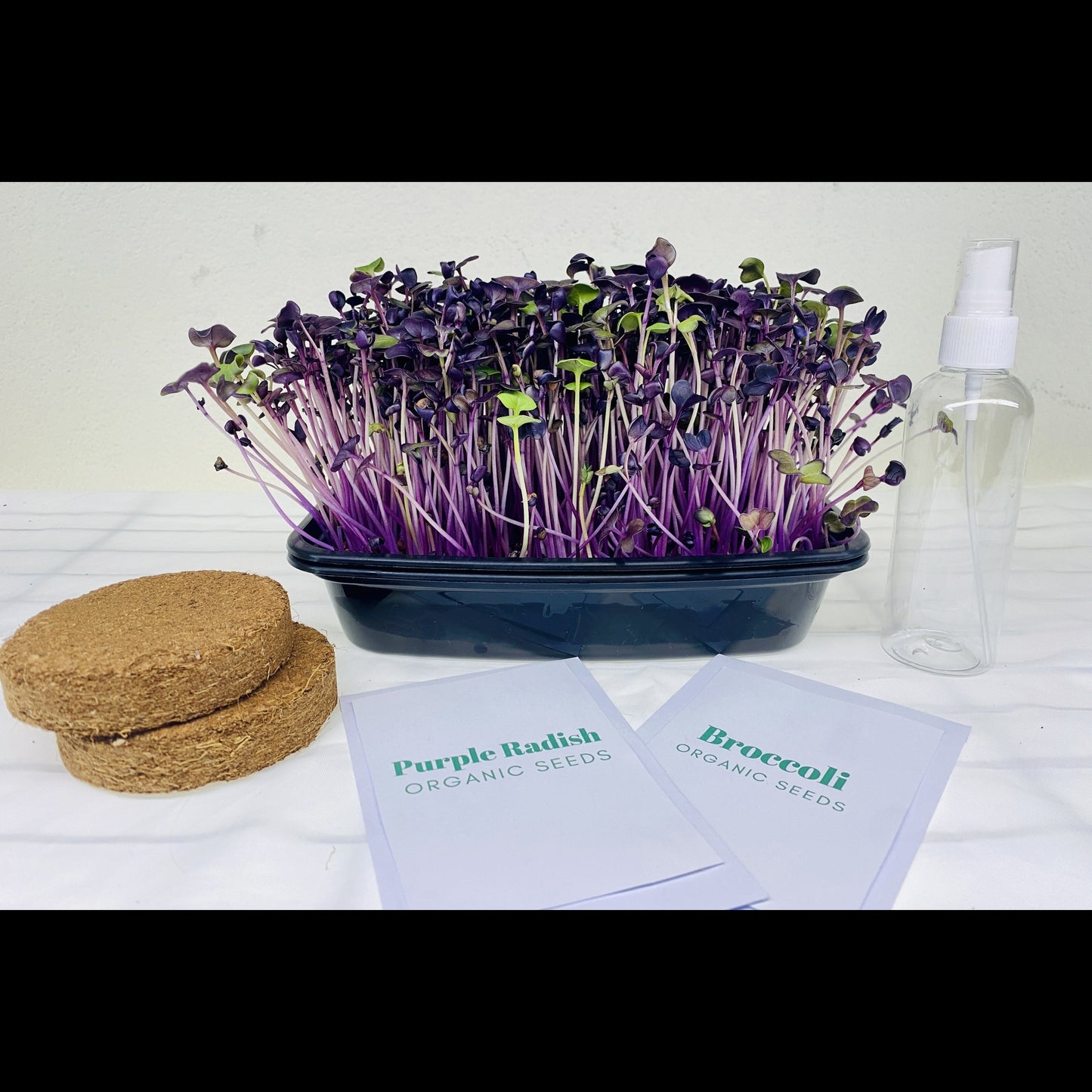 Grow Your Own Microgreens Kit