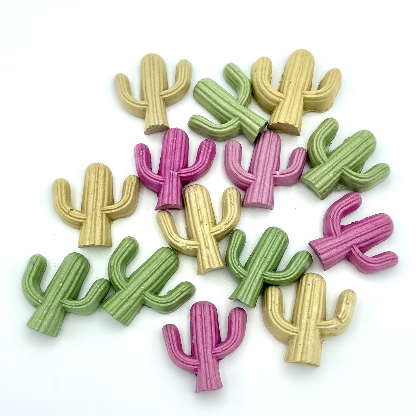 Small Cactus Magnet
