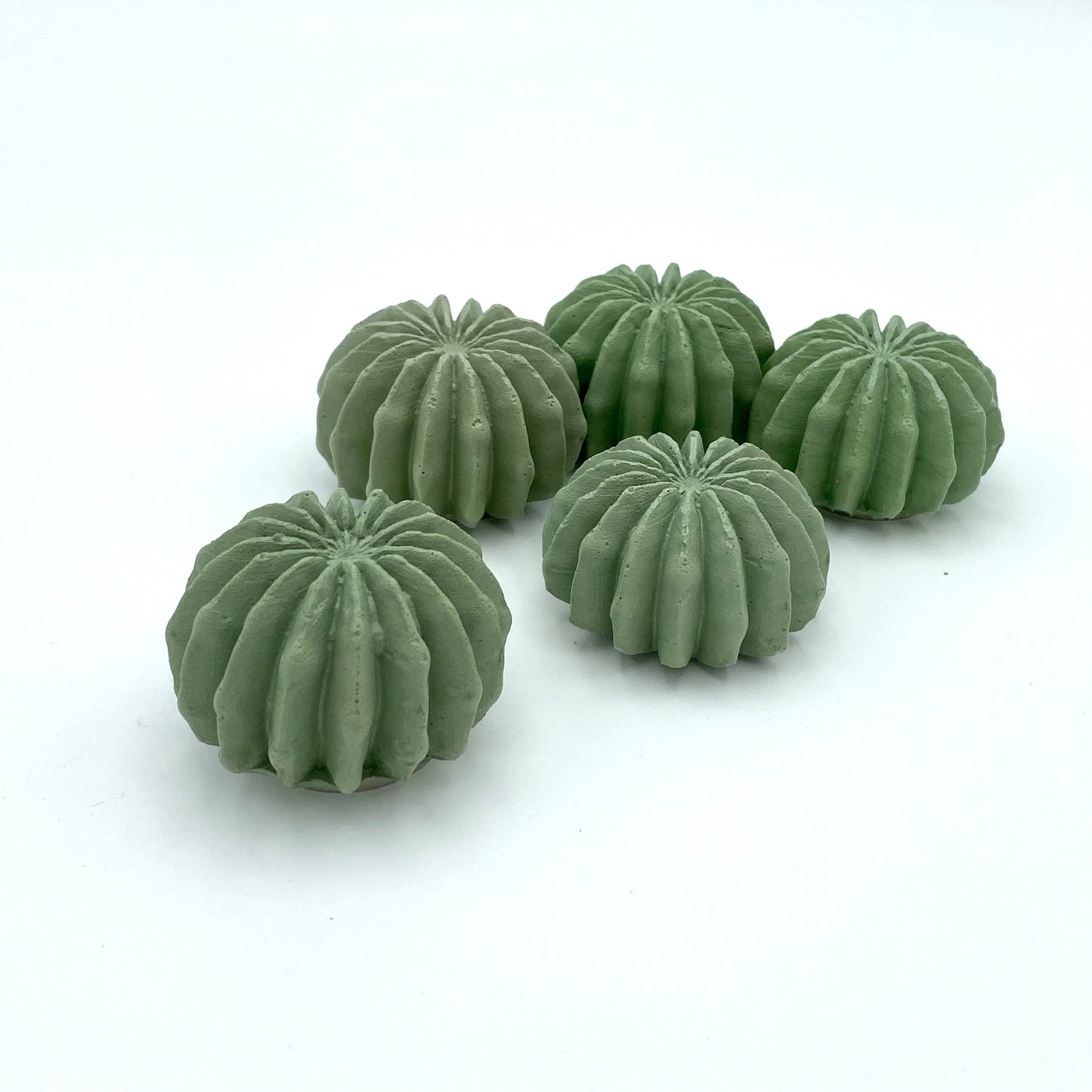 Large Succulent Magnet