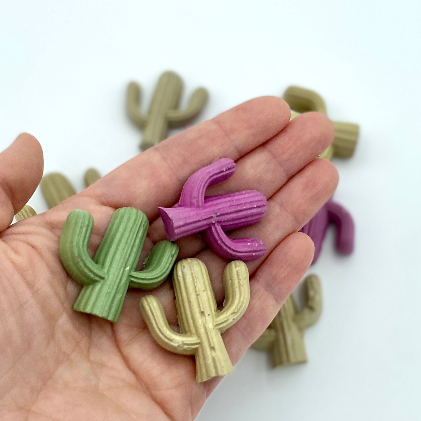 Small Cactus Magnet