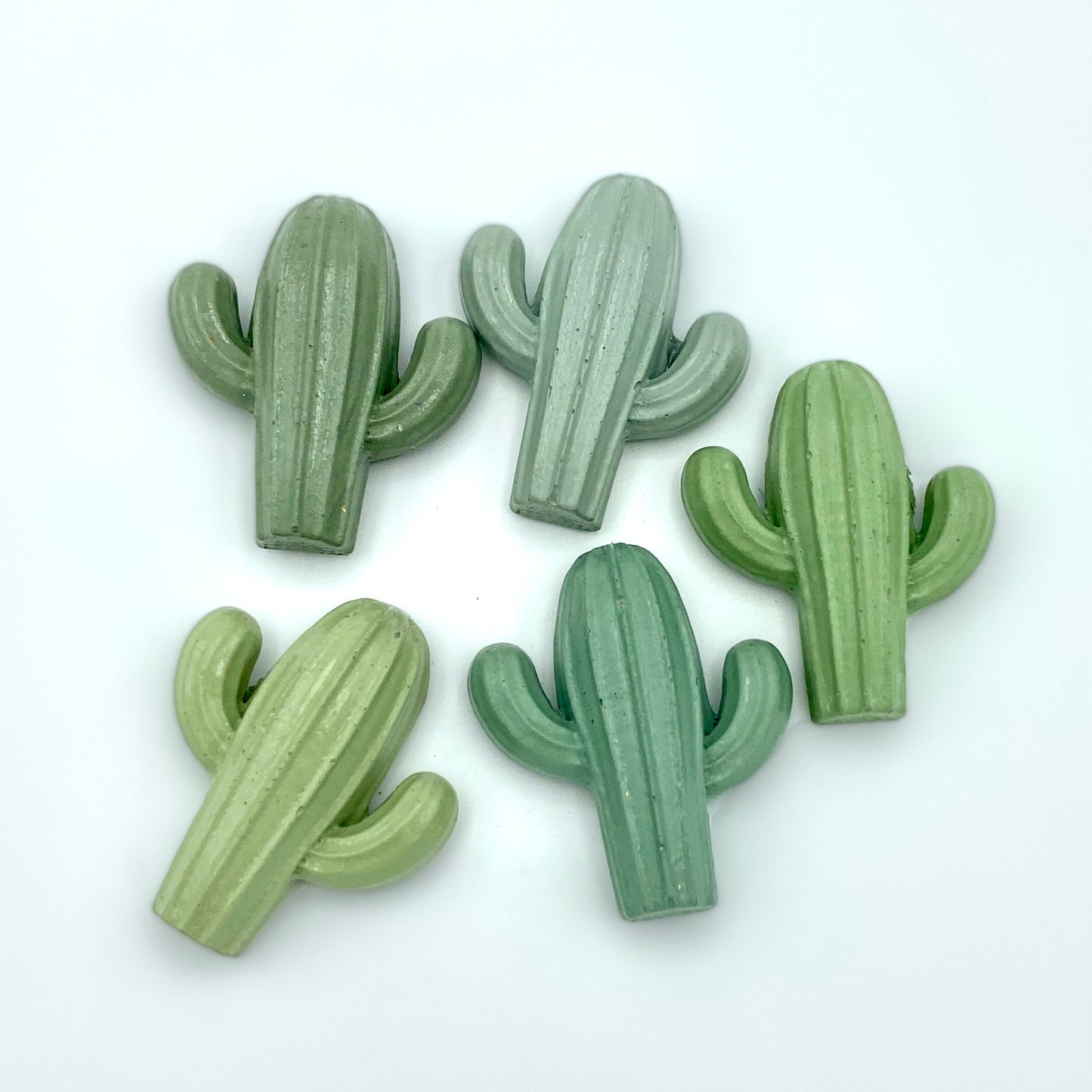 Large Cactus Magnet