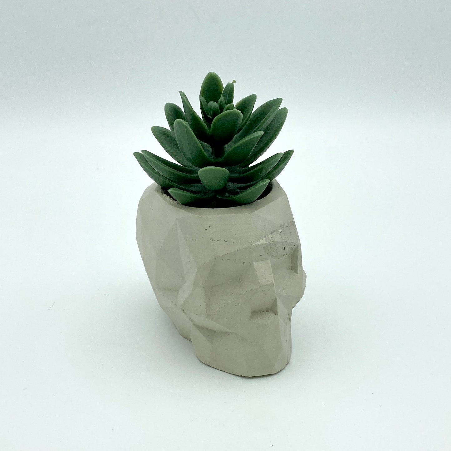 Skull planter