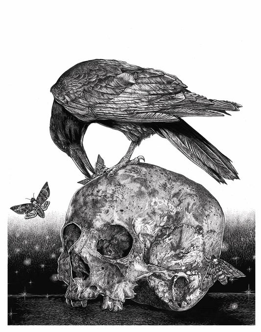 Raven's Feast Art Print