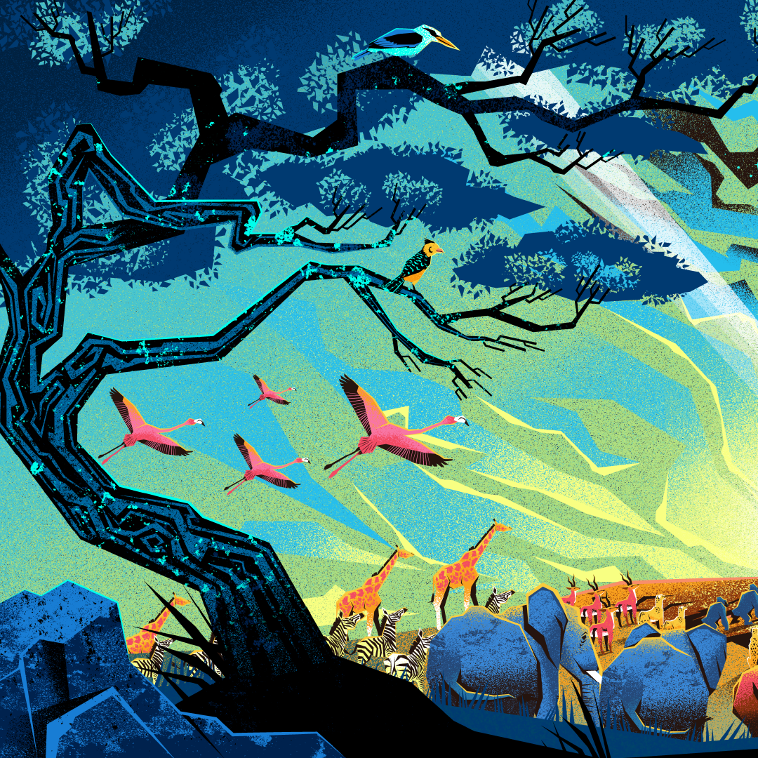 Circle of Life Print