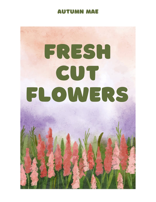 Fresh Cut Flowers Children's Book