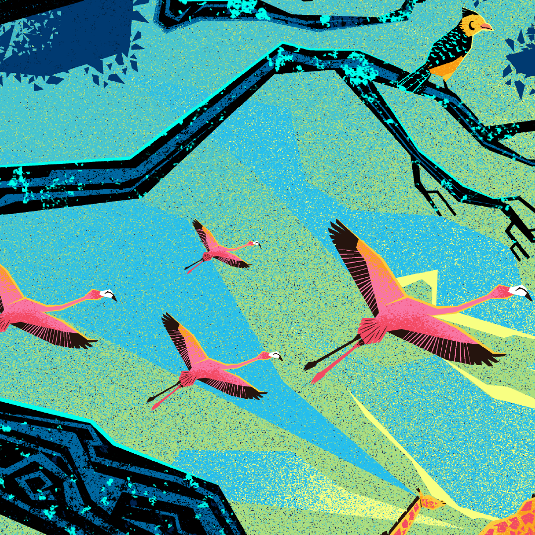 Circle of Life Print