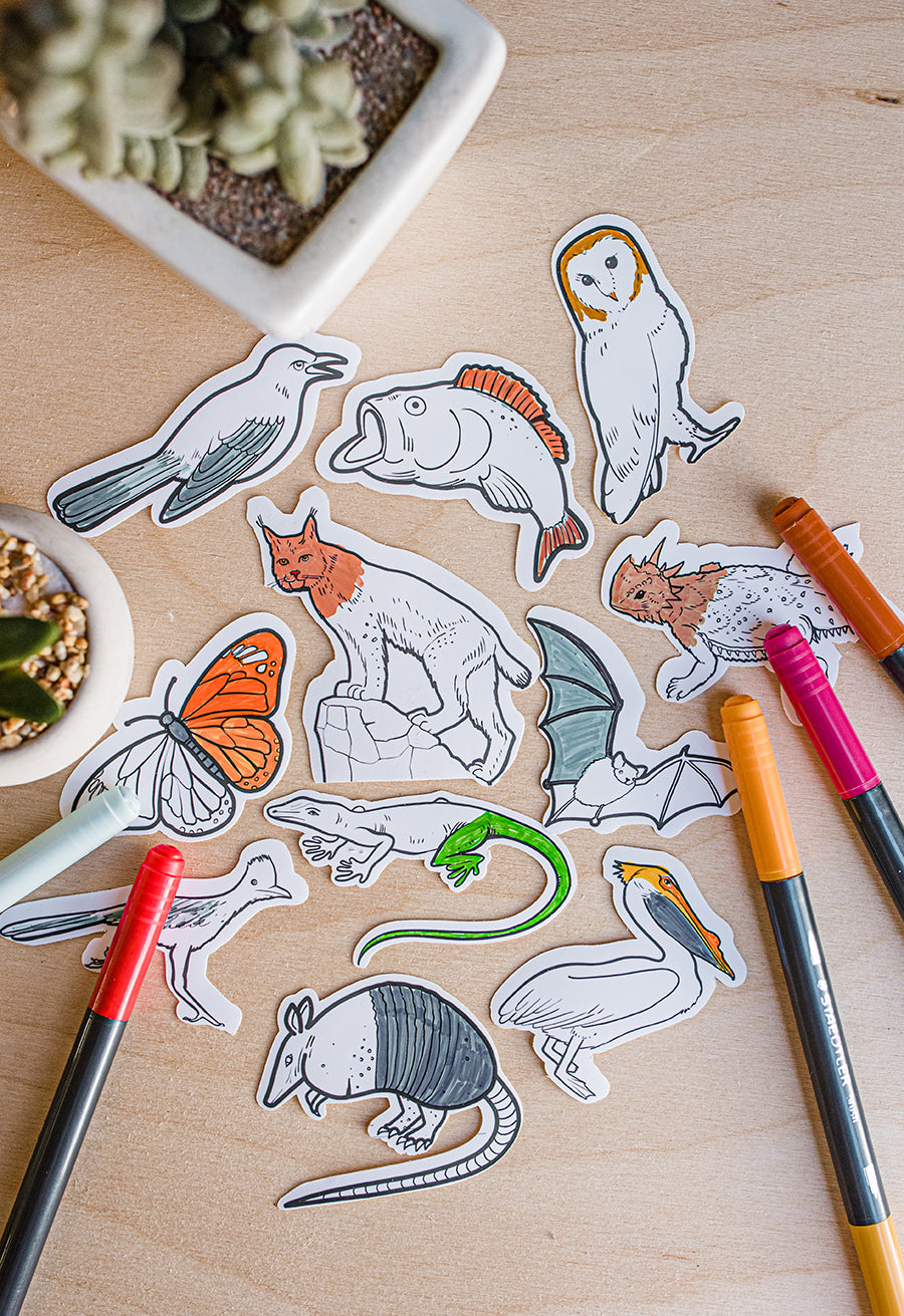 Texas Animals Color Your Own Sticker Set
