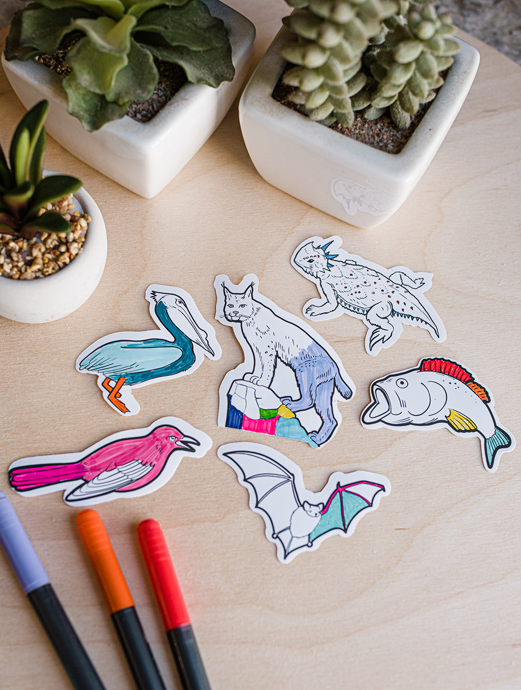 Texas Animals Color Your Own Sticker Set