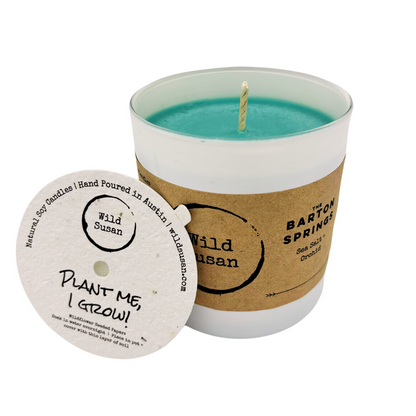 The Barton Springs [Sea Salt + Orchid] Collection