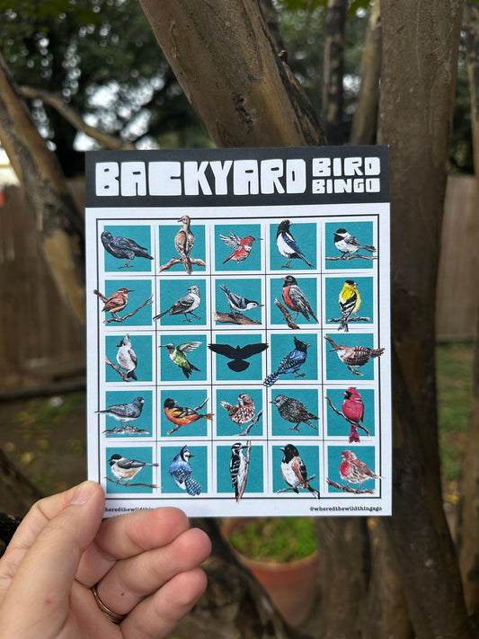 Backyard Bird Bingo Mini