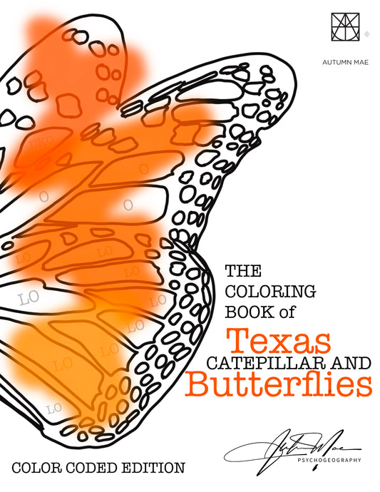 The Coloring Book of Texas Caterpillar and Butterflies