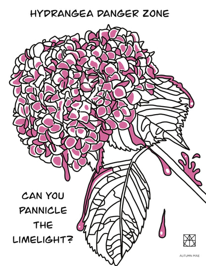 Hydrangea Coloring Book