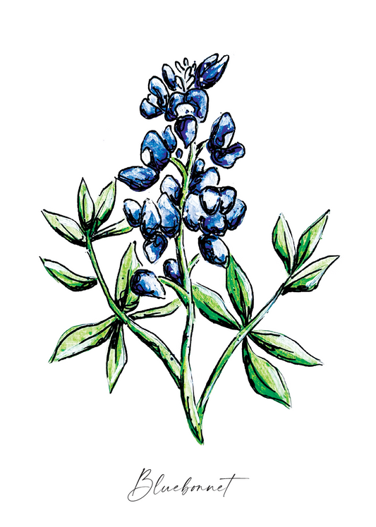 Bluebonnet Mini Print