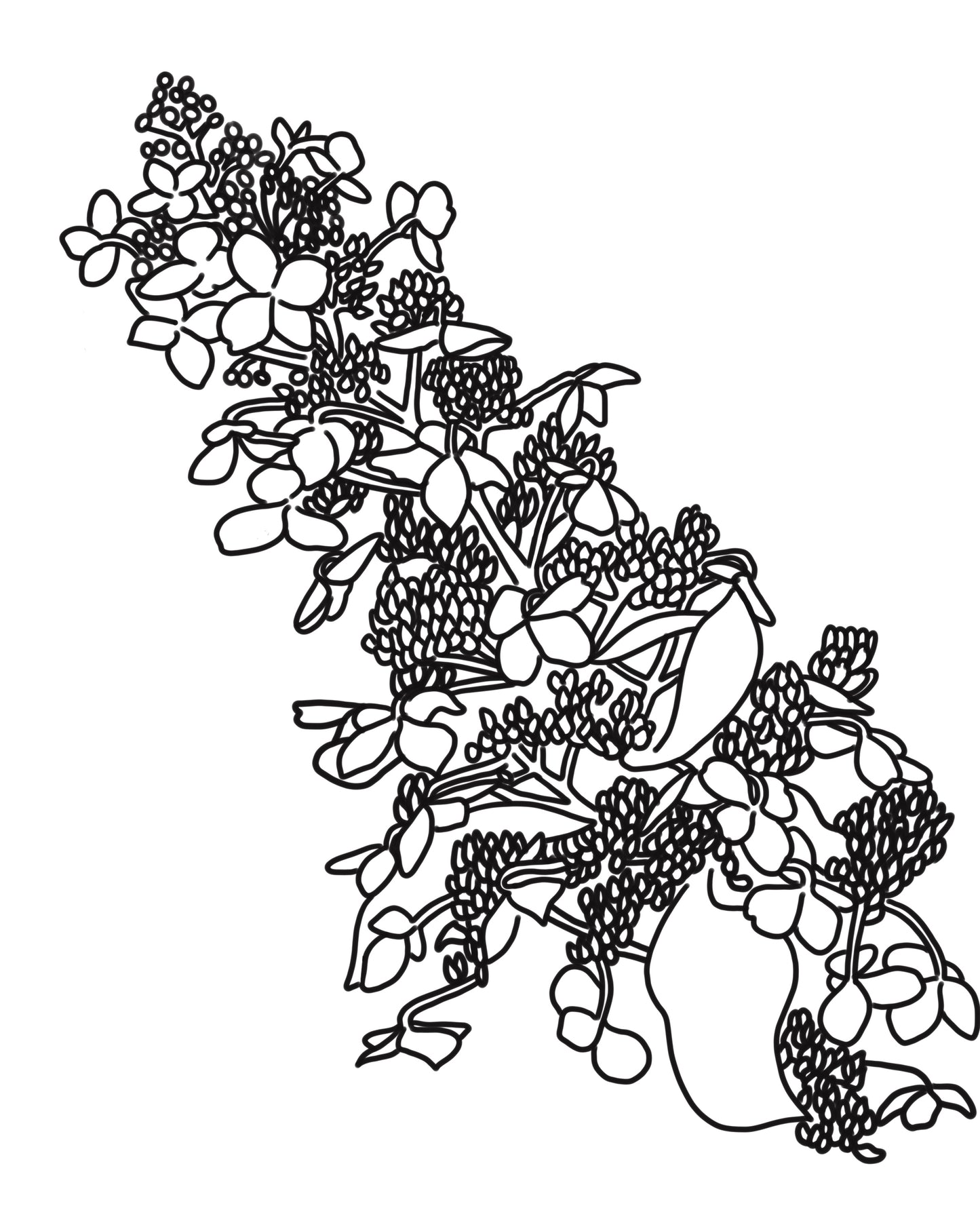 Hydrangea Coloring Book