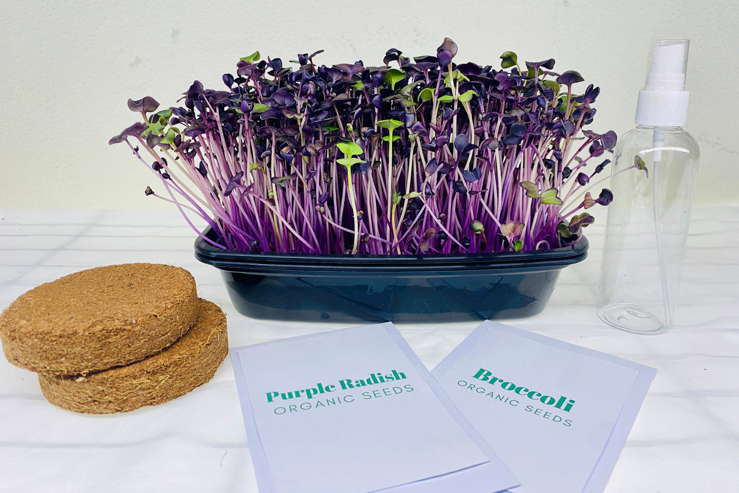 Grow Your Own Microgreens REFILL Kit