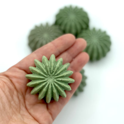 Large Succulent Magnet