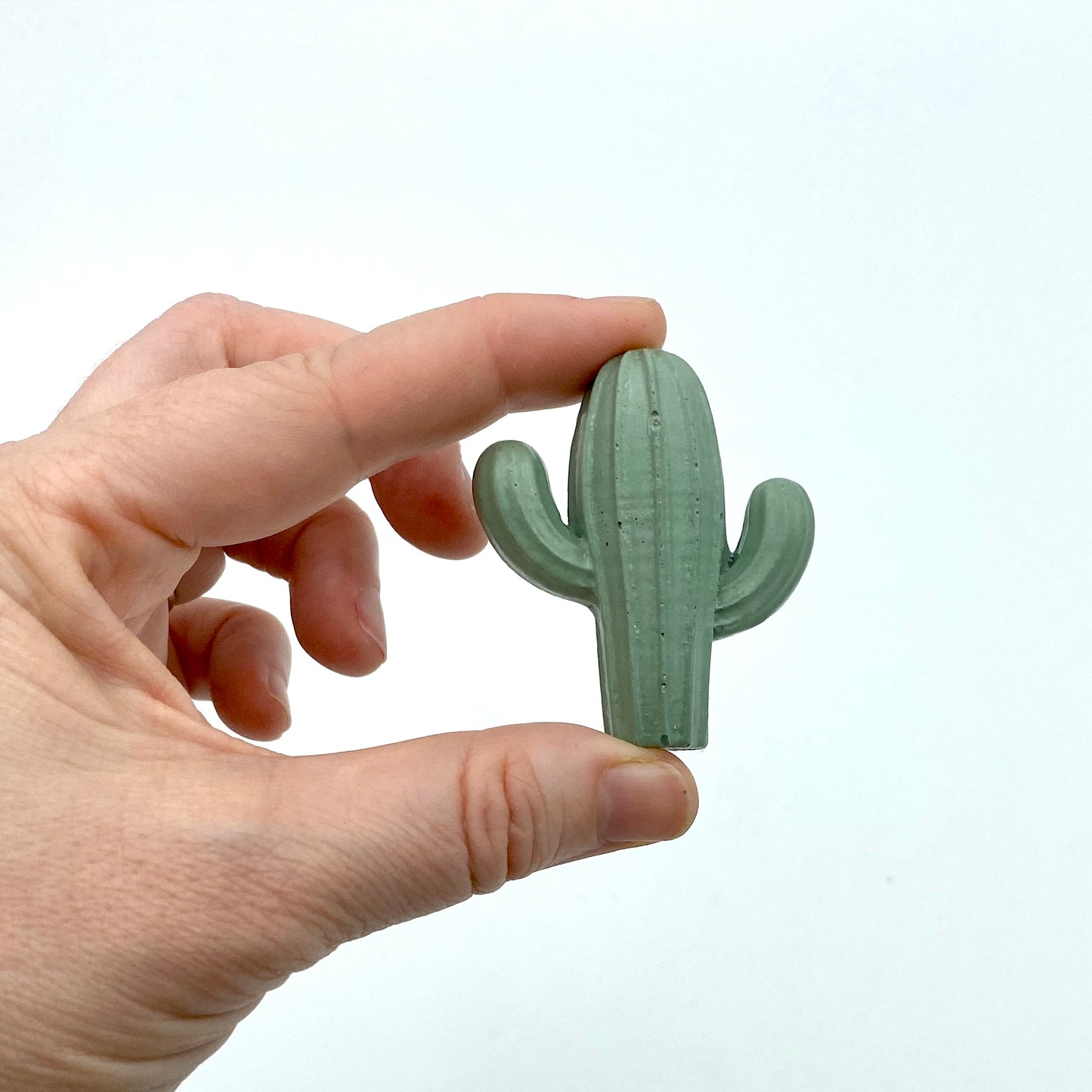 Large Cactus Magnet